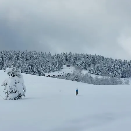 Lodge Ptaszkova Przystan