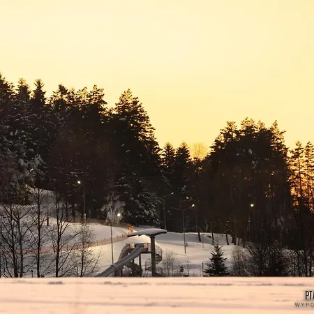 Ptaszkova Przystan Ptaszkowa